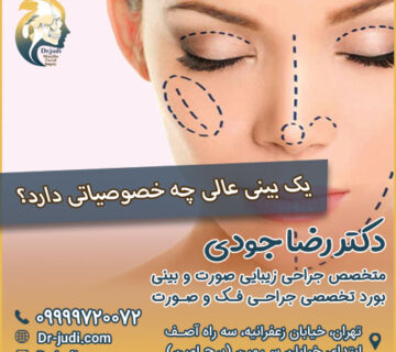 یک بینی عالی چه خصوصیاتی دارد؟