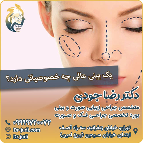 یک بینی عالی چه خصوصیاتی دارد؟